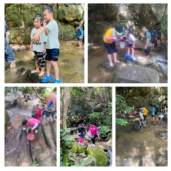 陽臺山愛護環境公益活動 陽臺山愛護環境公益活動