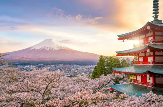 2025【精益生產(chǎn)+Karakuri 改善大會】一場關于“智慧”與“循環(huán)”的深度研學 2025【精益生產(chǎn)+Karakuri 改善大會】一場關于“智慧”與“循環(huán)”的深度研學